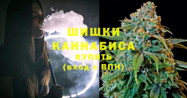 бошки Богданович